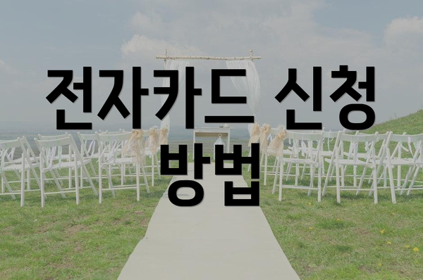 전자카드 신청 방법