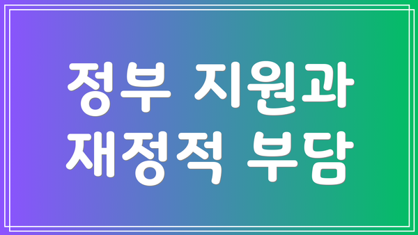정부 지원과 재정적 부담