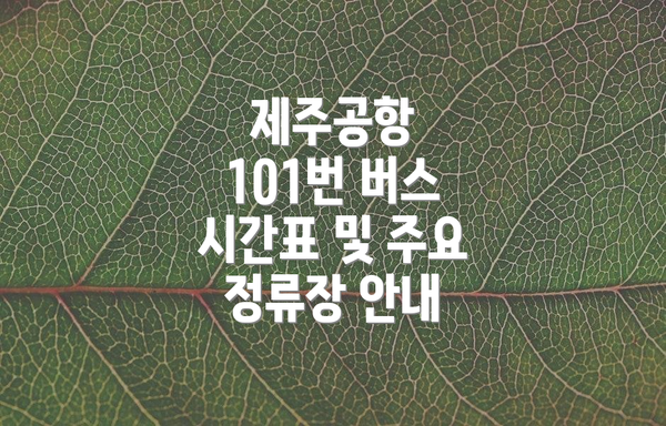 제주공항 101번 버스 시간표 및 주요 정류장 안내