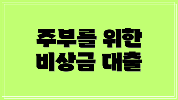 주부를 위한 비상금 대출