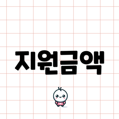 지원금액