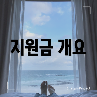 지원금 개요