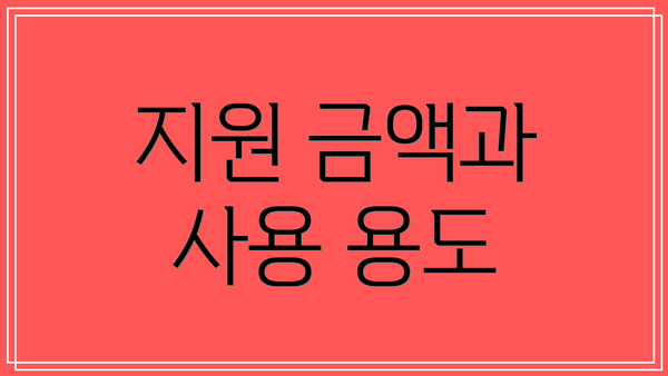 지원 금액과 사용 용도