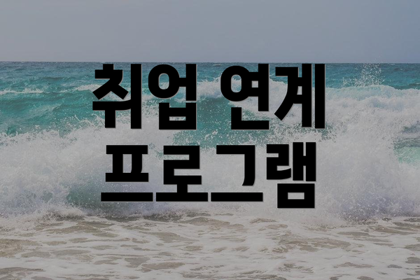 취업 연계 프로그램