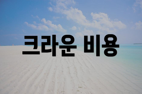 크라운 비용
