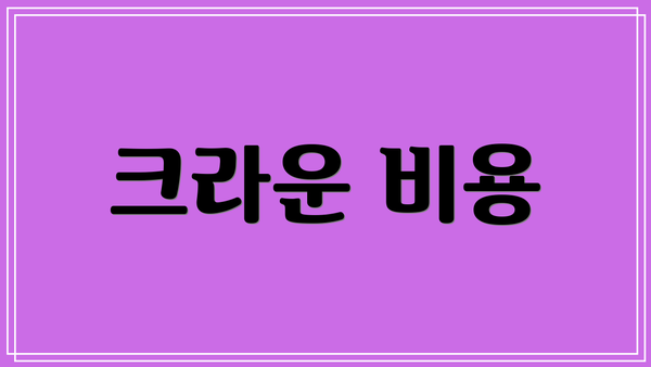 크라운 비용