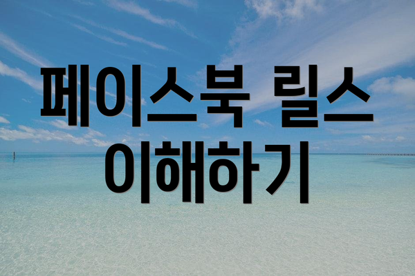 페이스북 릴스 이해하기