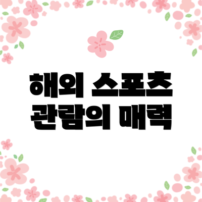해외 스포츠 관람의 매력