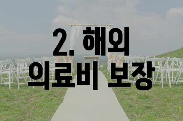 2. 해외 의료비 보장