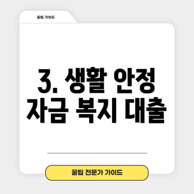 3. 생활 안정 자금 복지 대출