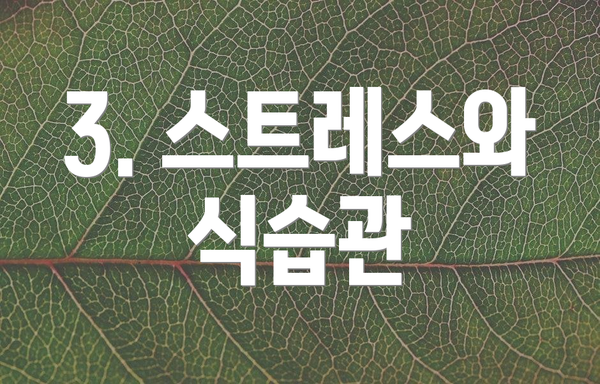 3. 스트레스와 식습관