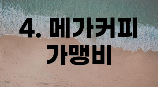 4. 메가커피 가맹비