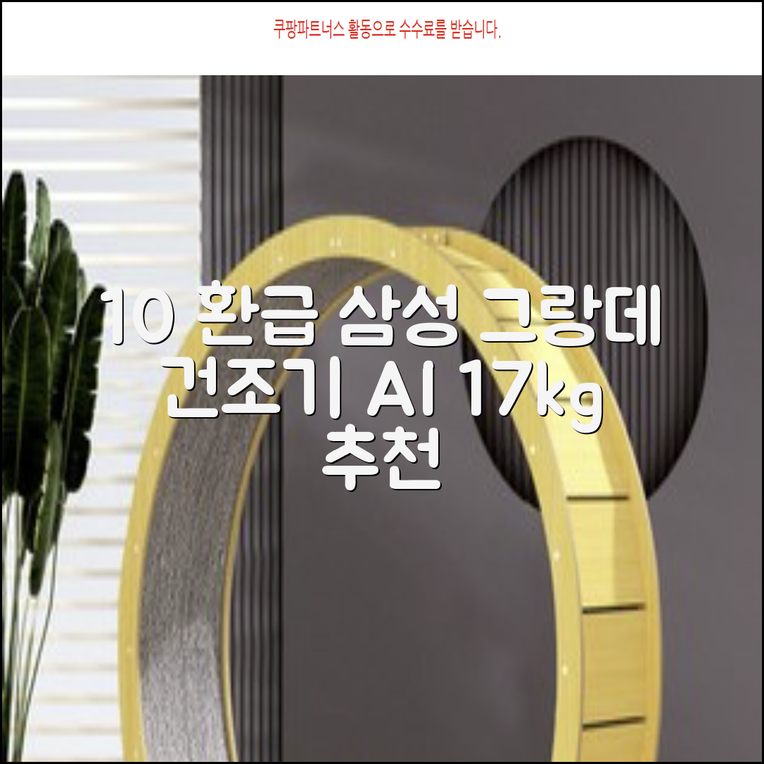 [10% 환급가전] 삼성전자 그랑데 건조기 AI 이녹스 DV17T8740BP 17kg 방문설치 추천 리뷰