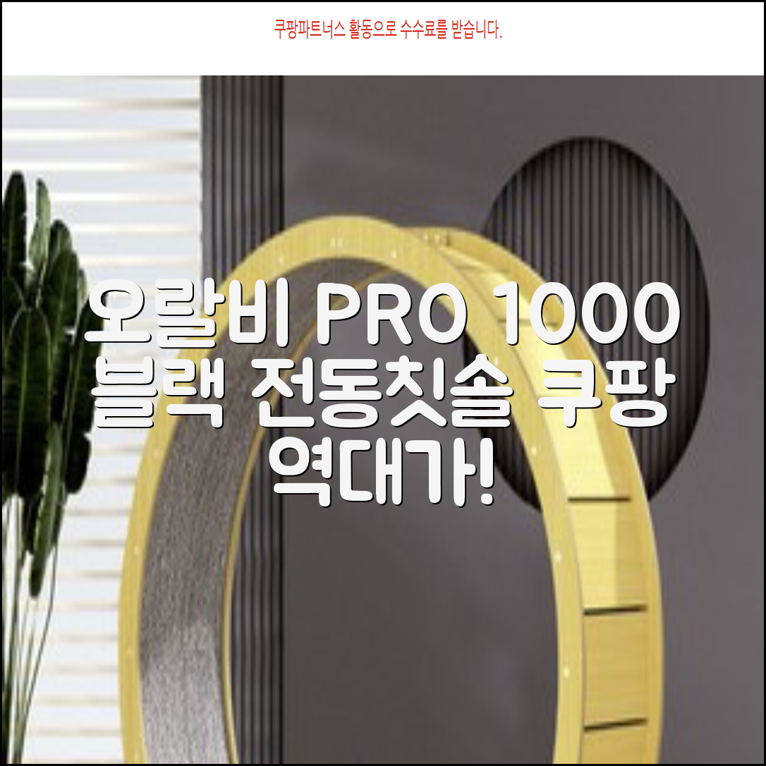 오랄비 전동칫솔, PRO 1000, 블랙, 1개 추천 리뷰