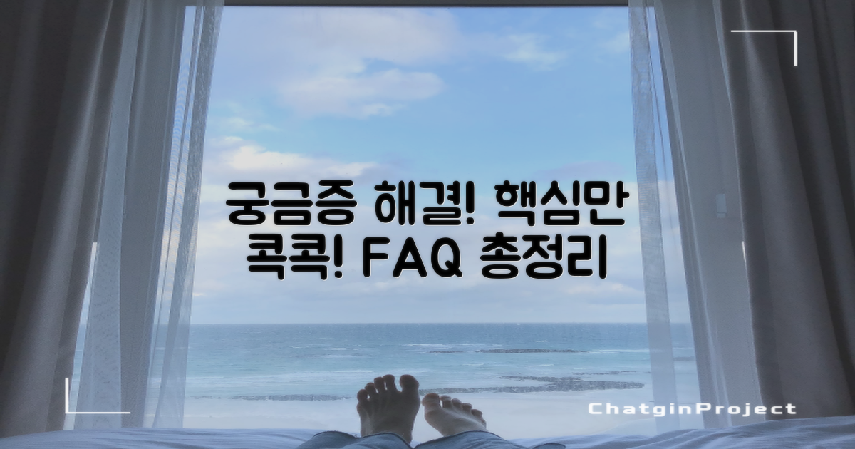 자주 묻는 질문