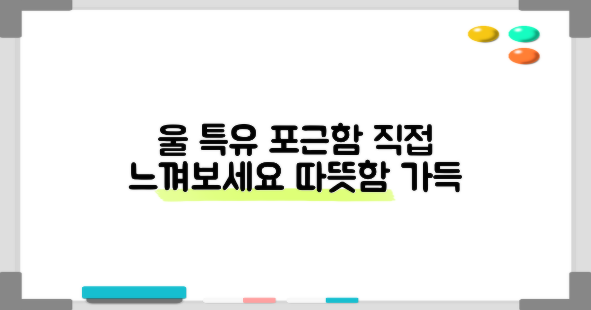 울 특유의 포근함, 직접 느껴봐요