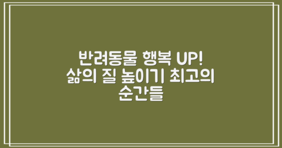 반려동물 삶의 질을 높이세요