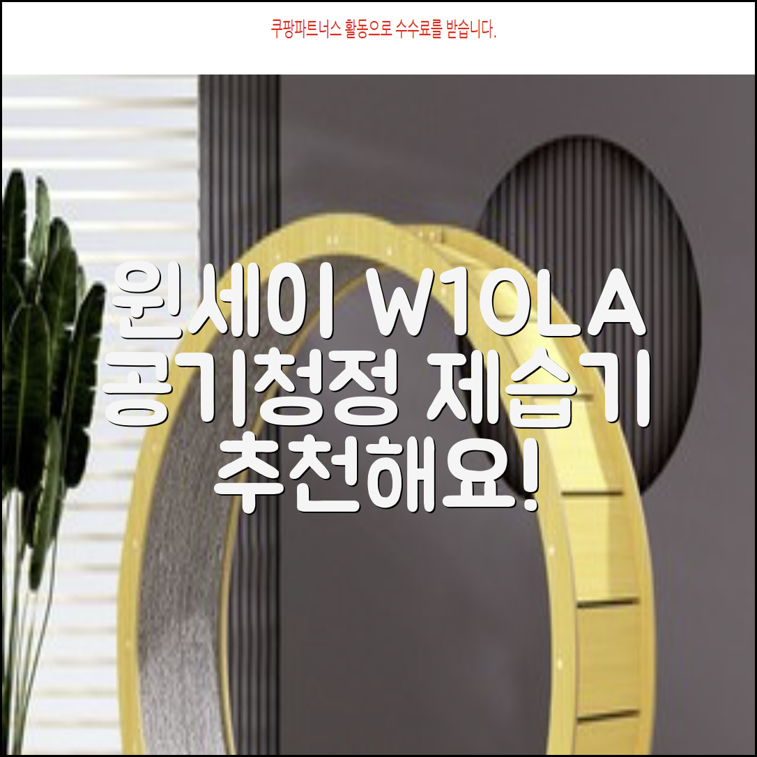 윈세이 인버터 방하나 공기청정 제습기 10L W10LA 추천 리뷰