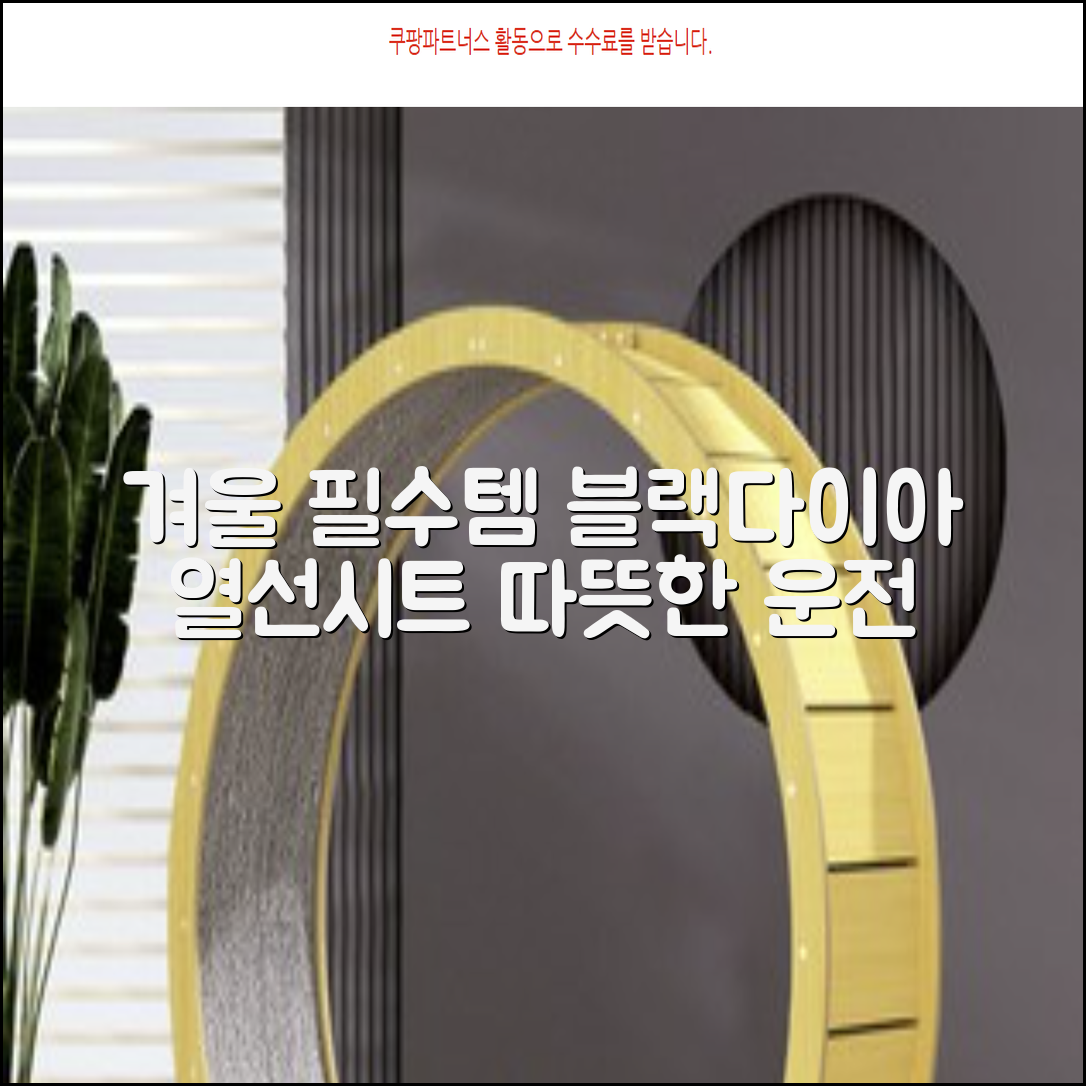 블랙다이아 차량용 열선시트 (1P) 털 겨울 히팅 전기시트, 1개, 12V (운전/조수석) 추천 리뷰