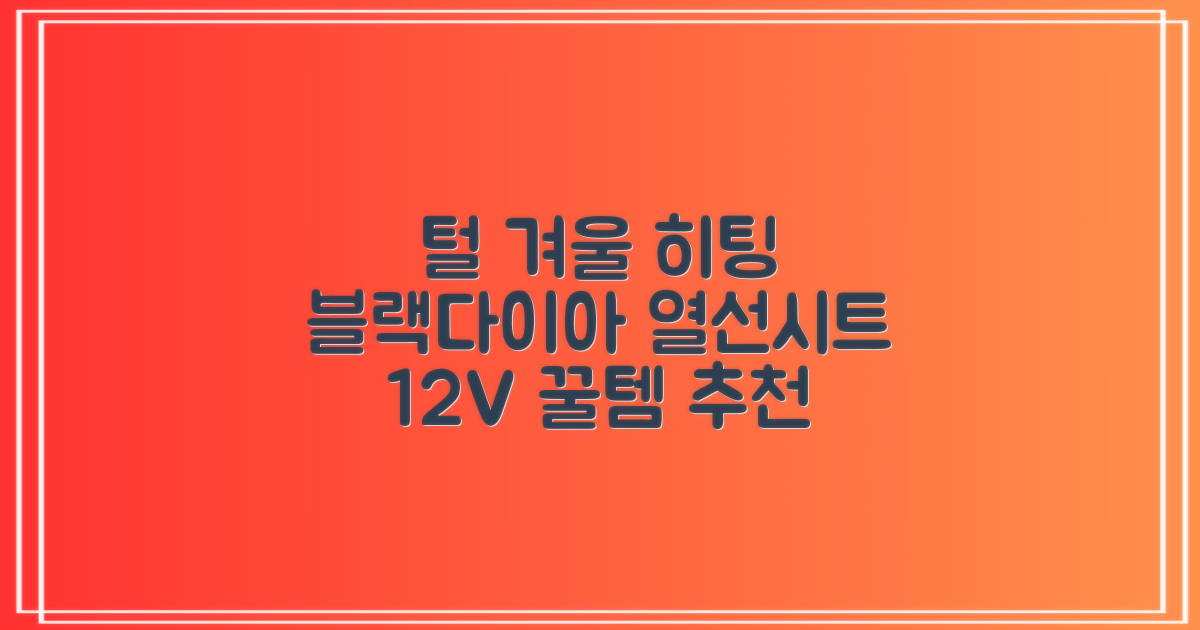 블랙다이아 차량용 열선시트 (1P) 털 겨울 히팅 전기시트, 1개, 12V (운전/조수석) 추천 리뷰