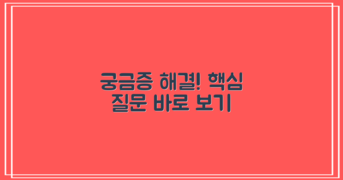 자주 묻는 질문
