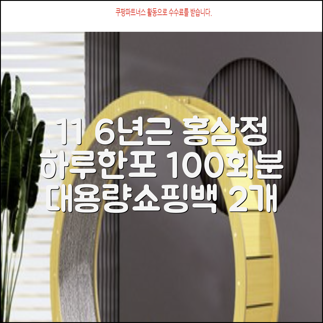 [1+1 특가] 홍삼정 6년근 하루한포 100회분 대용량+쇼핑백, 2개, 1L 추천 리뷰