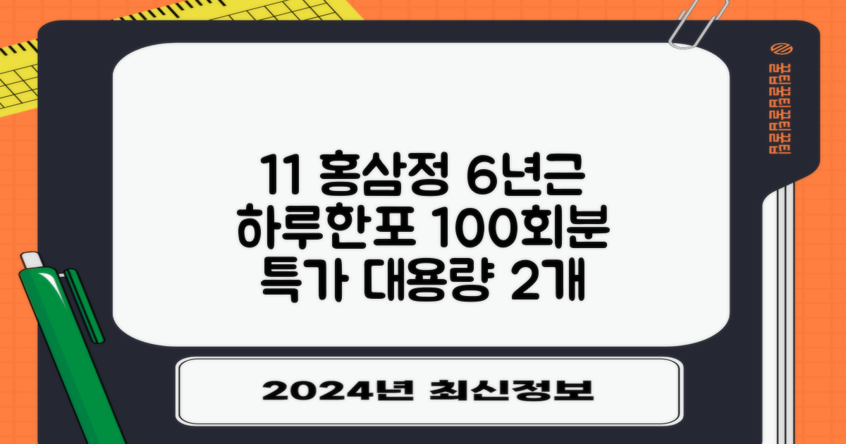 [1+1 특가] 홍삼정 6년근 하루한포 100회분 대용량+쇼핑백, 2개, 1L 추천 리뷰