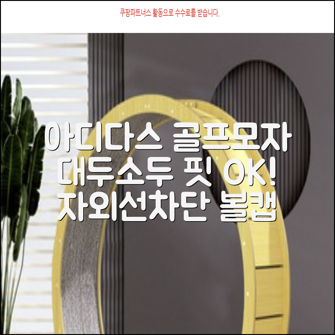 아디다스골프 정품 골프모자 남자 대두 스포츠 자외선차단 소두핏 볼캡, 남성, IN2697 화이트, 1개 추천 리뷰
